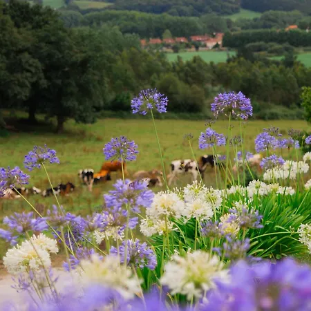 Preciosa Casa Con Vistas Espectaculares Holiday home Cubas (Cantabria)